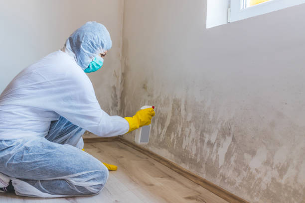 Licensed Bathroom Mold Removal service in Davidsville, PA - WQB Mold Removal