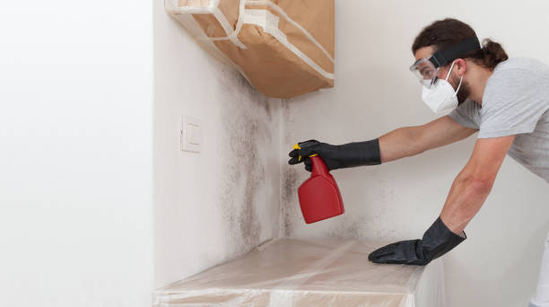 Professional Bathroom Mold Removal technician working in Davidsville, PA