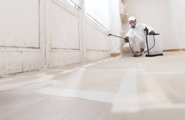 24/7 Emergency Bathroom Mold Removal experts in Davidsville, PA
